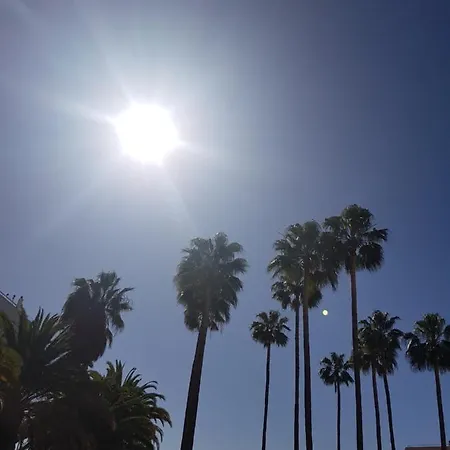 Vina Del Mar Lägenhet *