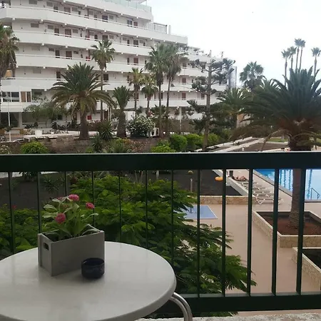 Vina Del Mar شقة