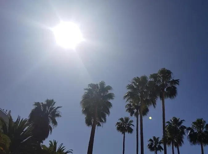 Vina Del Mar Apartmán *